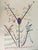 Hand Signed and numbered. Edition of 99 pieces. Hand colored. Very good condition. This piece is attributed to the...