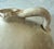 Tan Vintage Stoneware Crock Jug For Sale - Image 8 of 10