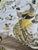 Silver Gorgeous Siver, Gray, Black Yellow Brocade Designer Fabric- 1 1/2 Yards For Sale - Image 8 of 9