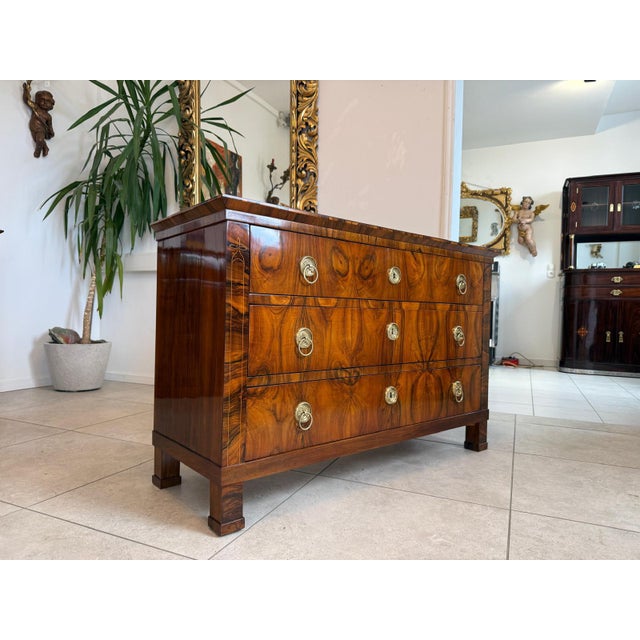 Biedermeier Chest of Drawers in Walnut For Sale - Image 5 of 14