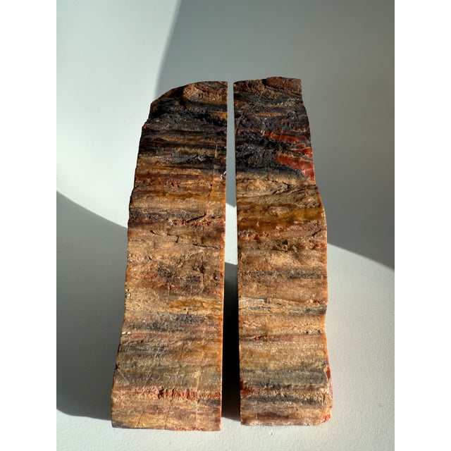 Vintage MCM Pair of Petrified Wood Bookends Arizona Rainbow For Sale In Miami - Image 6 of 14