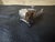 Vintage Dutch Silver Miniature Carriage and Horses For Sale - Image 9 of 12