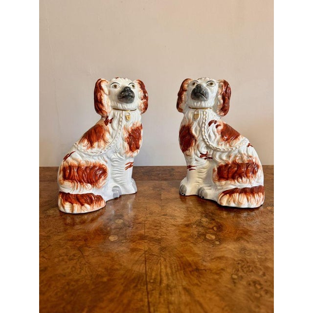 Wonderful pair of antique Victorian Staffordshire dogs, having a pair of seated spaniels in white and red coloured coats...