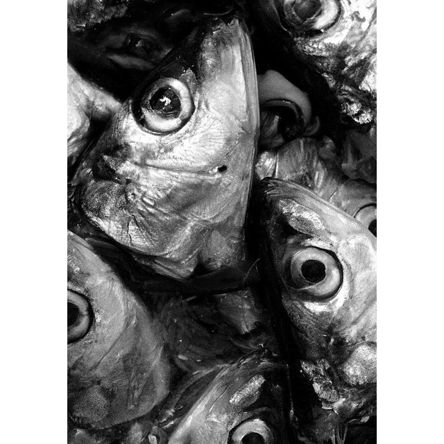 Sardines - Limited edition archival pigment print , 1993 - Edition of 5 This image was captured on film. The negative was...