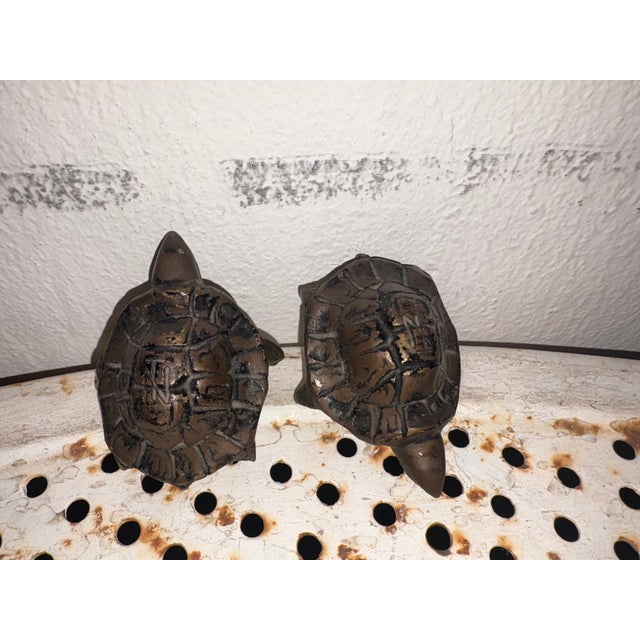 1900 - 1909 Antique Turtles in Bronze, 1900 For Sale - Image 5 of 6