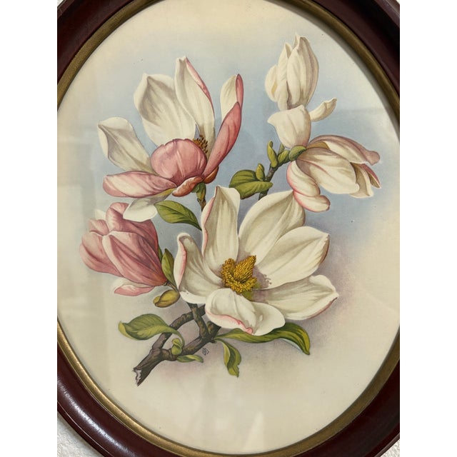 Mid-Century Modern Vintage Pair of I. B. Fischer Co. Oval Framed Magnolia Prints For Sale - Image 3 of 9