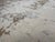Restoration Hardware Rh Restoration Hardware Riva Hand-Knotted Rug — 9' × 12' Dove/Wheat | Wool & Viscose Blend For Sale - Image 4 of 18