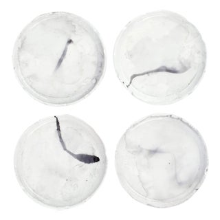 Florentine Wooden Accessories Marble Coasters - Set of 4 For Sale