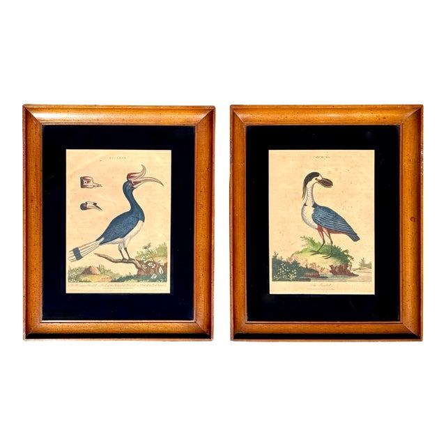 18th-Century English Hand-Colored Natural History Orinthology Bird Engravings, Pair For Sale
