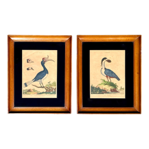 18th-Century English Hand-Colored Natural History Orinthology Bird Engravings, Pair