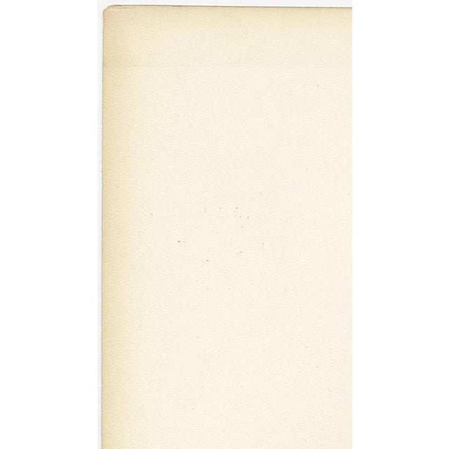 Hirschfeld and Leveille, Nerves of the Whole Back, Hirschfeld Double Folding Plate, 1866, Paper For Sale - Image 6 of 12