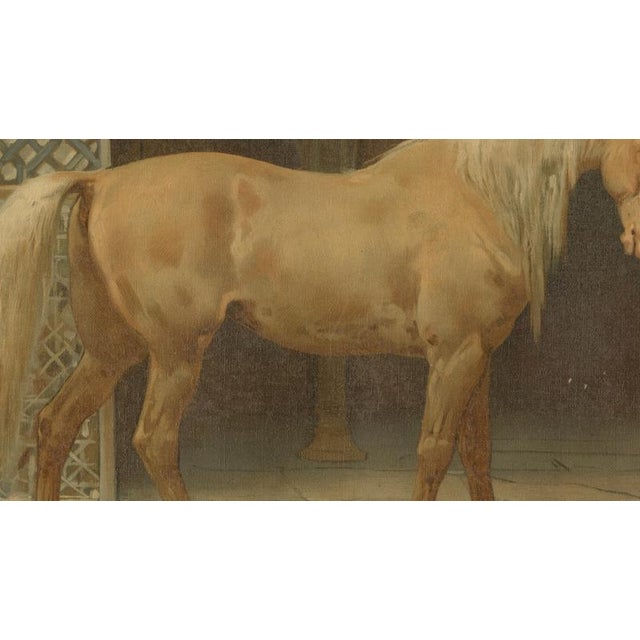 Paper After Otto Eerelman, Andalusian Horse, 1898, Lithograph on Paper For Sale - Image 7 of 9