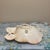 1960s Mid-Century Modern California Style Ceramic Hibiscus Trinket Dish in Soft Peach For Sale - Image 5 of 8