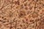 Shabby Chic Shabby Chic 1990's Pak-Persian Taupe/Brown Wool Rug - 6'2'' X 9'6'' For Sale - Image 3 of 9