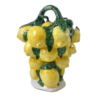 1970s Spanish Lemons "Botijo" Earthenware Water Jug For Sale