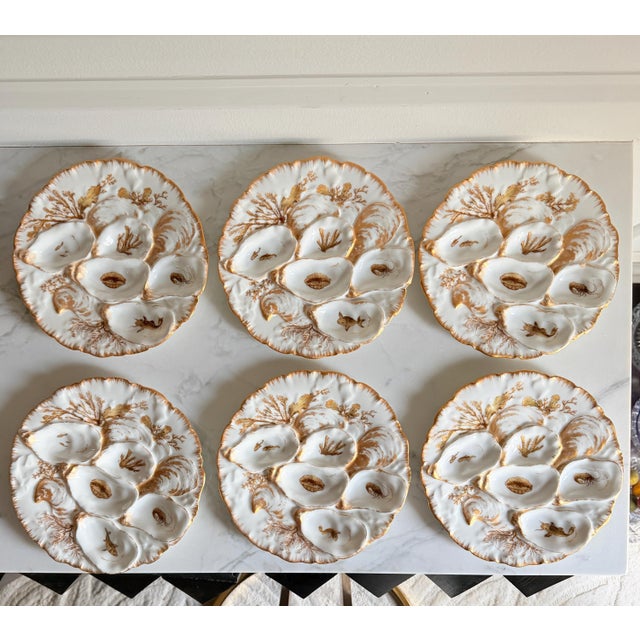 Set/6 Rare Antique French Haviland & Co. Limoges Porcelain Turkey Pattern Oyster Plate 8.75" With Sea Creatures For Sale - Image 15 of 16