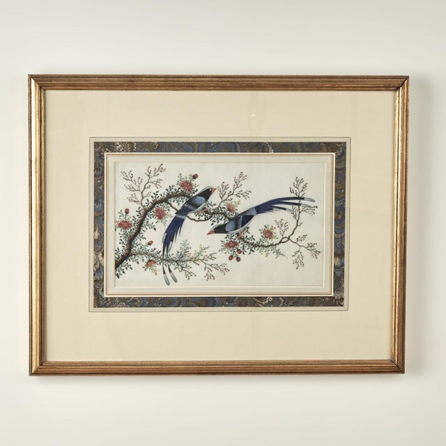 Pair of Antique Chinese Pith Paintings of Birds For Sale - Image 9 of 18