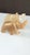 Pair of Vintage Hand-Carved Honey Onyx Elephant Figurines For Sale - Image 10 of 16
