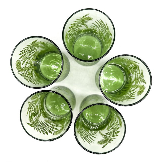 1970s Vintage Green Fern Botanical Highball Glasses – Mid-Century Modern / Tropical - Set of 5 For Sale - Image 5 of 13
