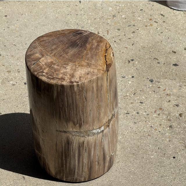 Small Side Table in Beige-Grey and Petrified Wood, 1980s For Sale - Image 17 of 18