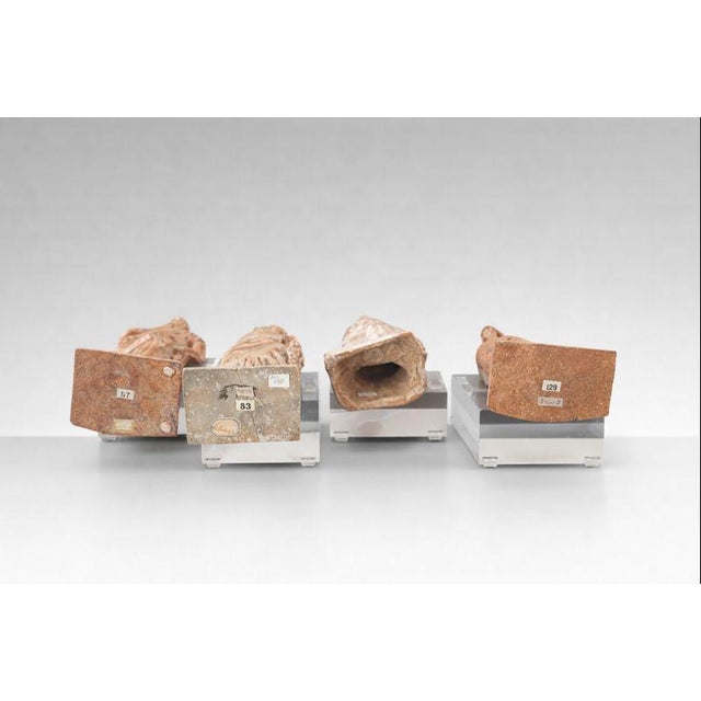 Late 19th Century Set of Four Italian Grand Tour Terracotta Classical Female Figures, Late 19th Century For Sale - Image 5 of 10