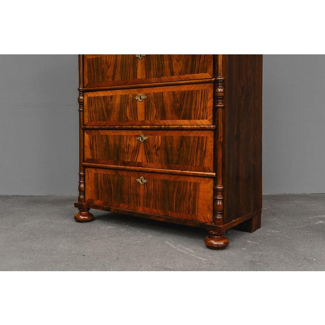 Gründerzeit Chest of Drawers in Walnut, 1700s For Sale - Image 17 of 18