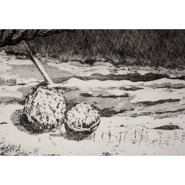 "Ii Walnuts" - Intaglio Print by Tomoya Uchida For Sale In Monterey, CA - Image 6 of 9