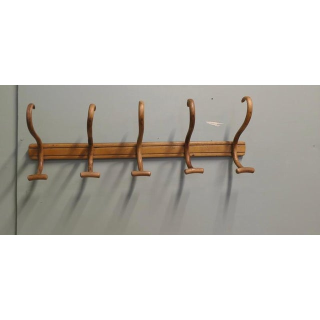 Large Bentwood Hat and Coat Hooks, 1900 For Sale - Image 4 of 6
