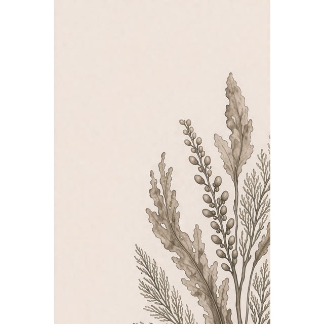 Coastal Seaweed Study Ii, Minimalist Botanical Art Print, 24" × 36" Reproduction For Sale In Buffalo - Image 6 of 10