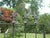 Late 18th Century Antique Wrought Iron Gate For Sale In Columbia, SC - Image 6 of 10