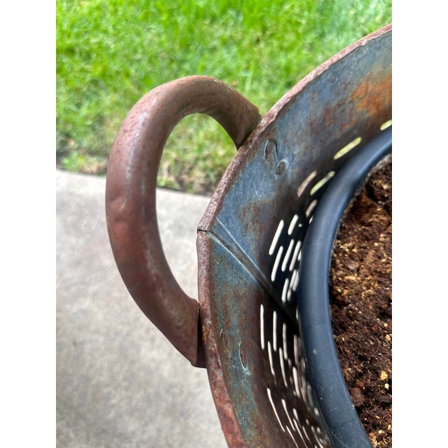 Vintage Olive/Harvest Bucket For Sale - Image 10 of 13