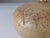 Roger Capron Ceramic Table Lamp with Fern Leaf Herbier Motif in the style of Roger Capron, 1960s For Sale - Image 4 of 9
