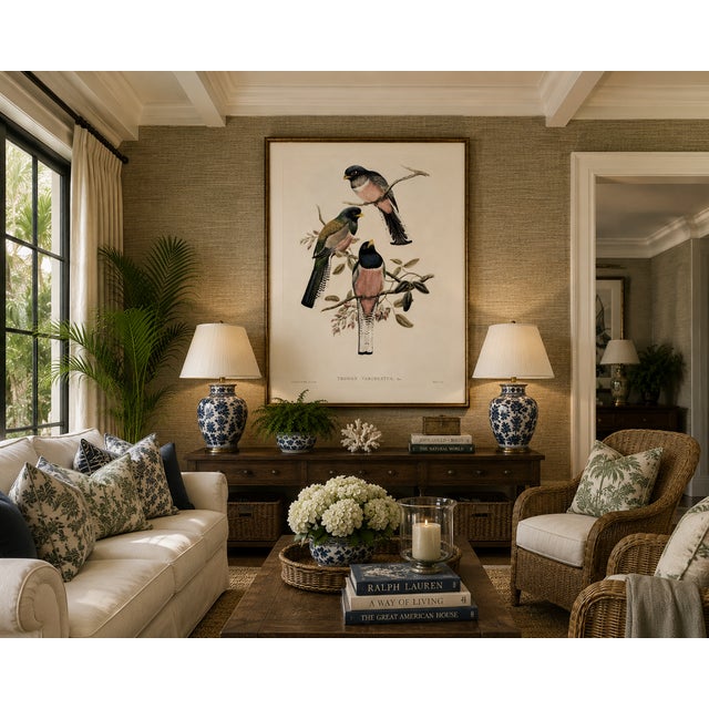 Vintage Tropical Bird Illustration, Bird Art Print Reproduction, 40" X 60" For Sale - Image 4 of 10
