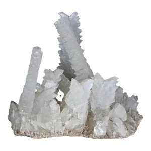 Large Fishtail Selenite Crystal Formation Specimen