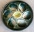 Vintage French Oyster Plate by Saint Clement For Sale - Image 10 of 11