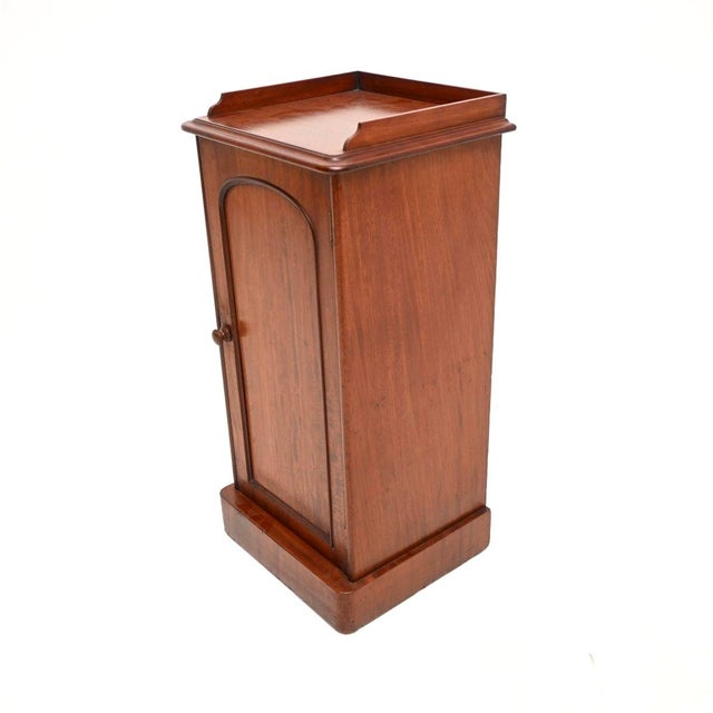 19th Century Antique Victorian Bedside Cabinet, 1860 For Sale - Image 5 of 10