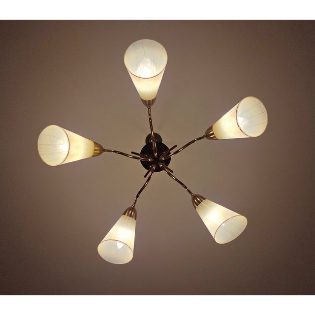 Mid-Century Modern 5-Arm Tulip Chandelier, 50s 60s Sputnik Design Brass Accents For Sale - Image 4 of 12