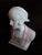 Antique Bust by Dedina For Sale - Image 3 of 9