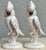 Metal Mid-Century Modern Made in Japan Cockatoo Parrots - A Pair For Sale - Image 7 of 16