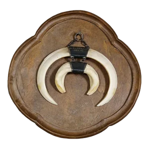Vintage Wild Boar Trophy on Wooden Plaque, Germany 1970s