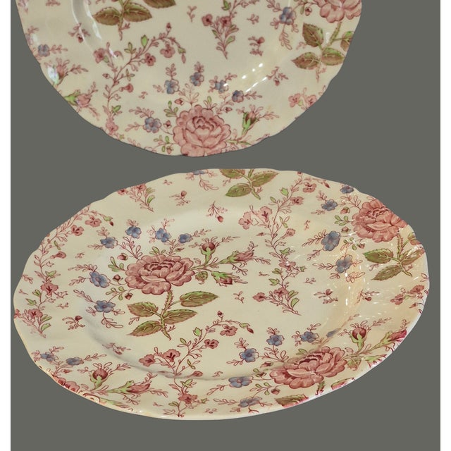 English Vintage Set of 4 Early Rose Chintz Johnson Bros. Ironstone England Dinner Plates For Sale - Image 3 of 11