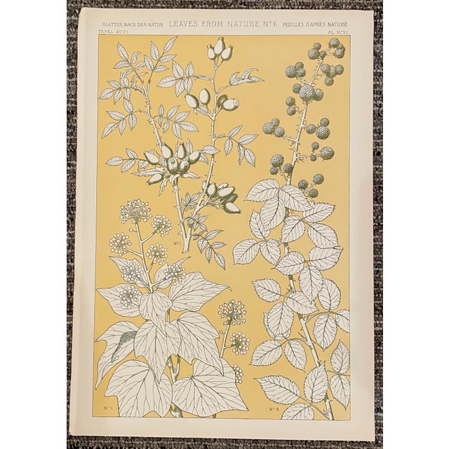 Set of four of chromolithograph plates from a 1910 printing of Owen Jones (1809-1874) "Grammar of Ornament" the most...