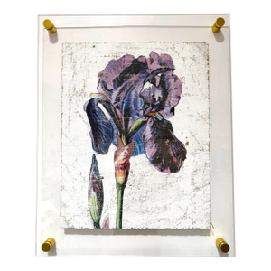 Purple Iris - Hand Textured Purple Flower