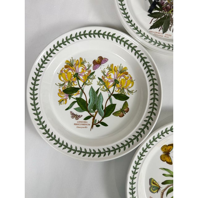 Ceramic 1972 Portmeirion Botanic Garden Dinner Plates- Set of 12 For Sale - Image 7 of 12