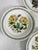 Ceramic 1972 Portmeirion Botanic Garden Dinner Plates- Set of 12 For Sale - Image 7 of 12