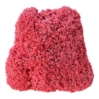 Large Red Coral Specimen, Organic Modern Style, 20th Century #6 For Sale
