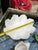 Collection of Vintage White Ceramic Swan Bowls and Figurines- Set of 9 For Sale In Atlanta - Image 6 of 12