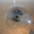 Mid 20th Century Mazzega Glass Chandelier For Sale - Image 5 of 6
