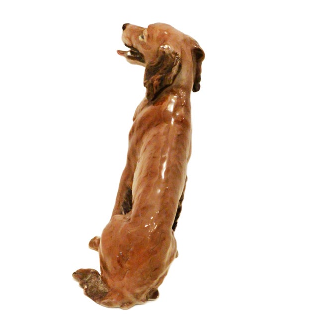 Brown Mid-Century Rosenthal Porcelain Seated Irish Setter Figurine – Kunstabteilung Selb – Circa 1940s–1950s For Sale - Image 8 of 10