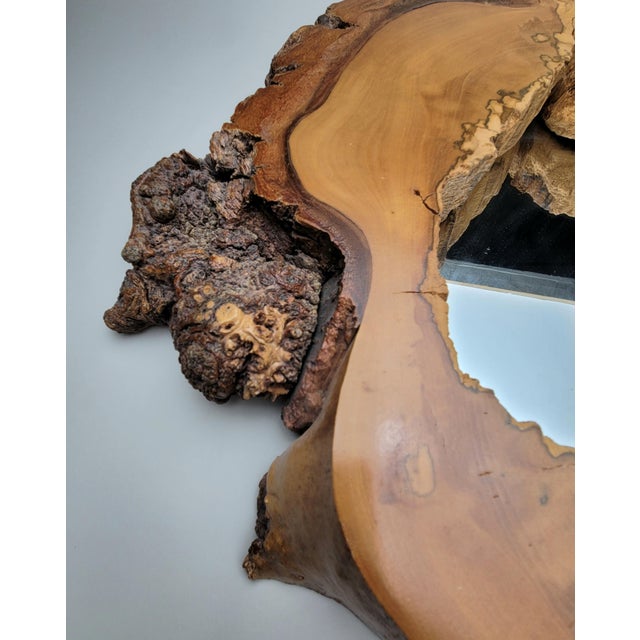Mid-Century Modern Live Edge Burlwood Mirror For Sale - Image 3 of 14